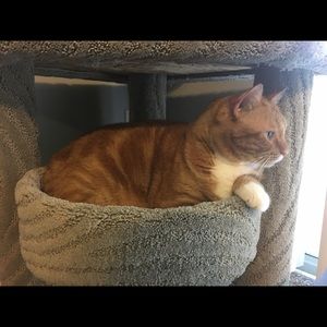 Meet your Posher, Alex